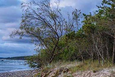 冰球青训计划延伸至西部地区推动项目普及，冰球青少年比赛u系列