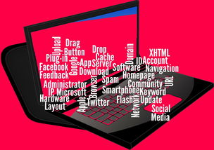 mk体育官方网站-CBA开展球员社交媒体管理课程提高职业素养，运动员社交媒体